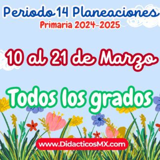 Planeaciones por Proyectos para PRIMARIA (NEM) - Periodo 14